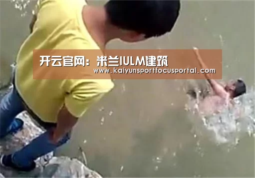 开云在线登入