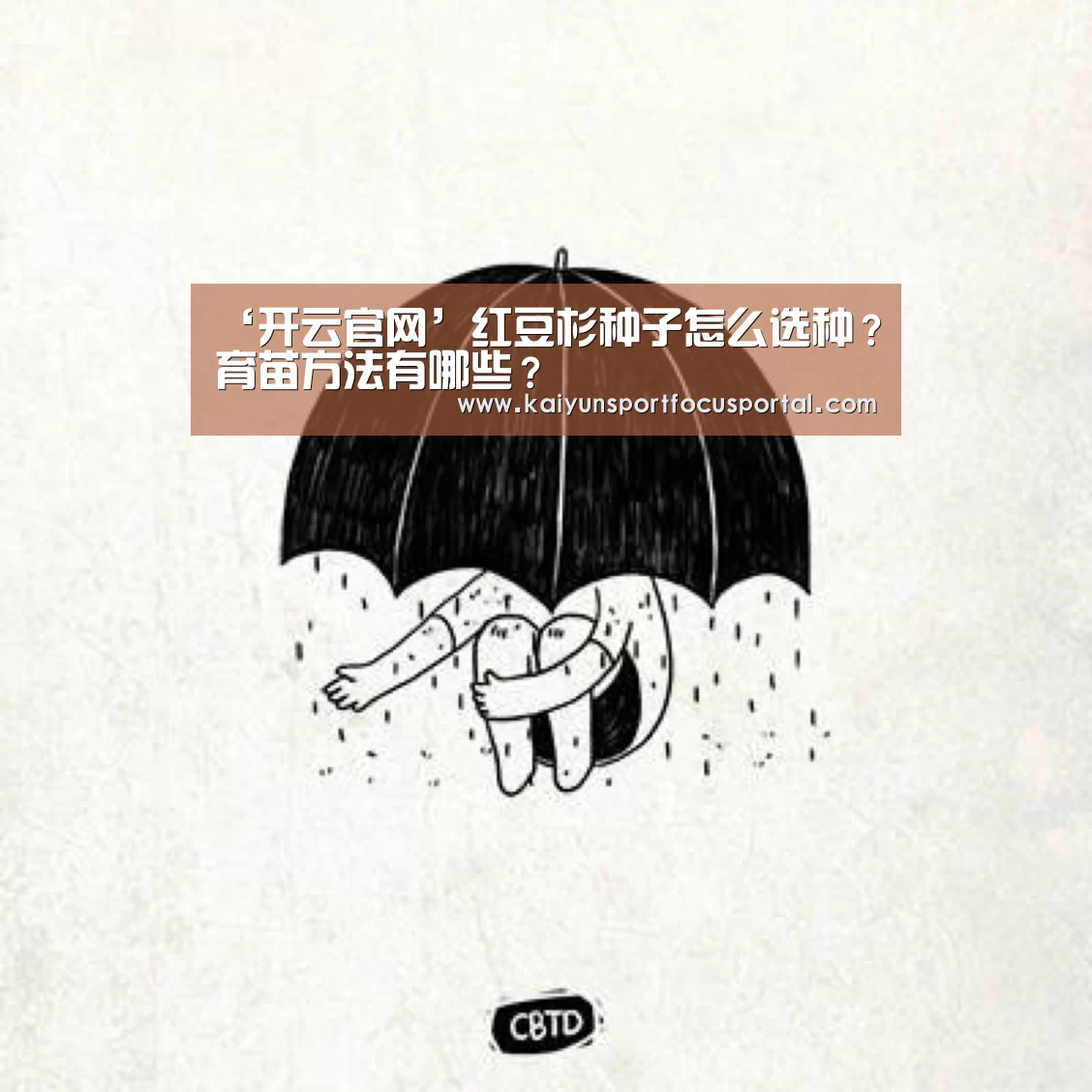 ‘开云官网’红豆杉种子怎么选种?育苗方法有哪些?(图2) ‘开云官网’红豆杉种子怎么选种?育苗方法有哪些?(图2)
