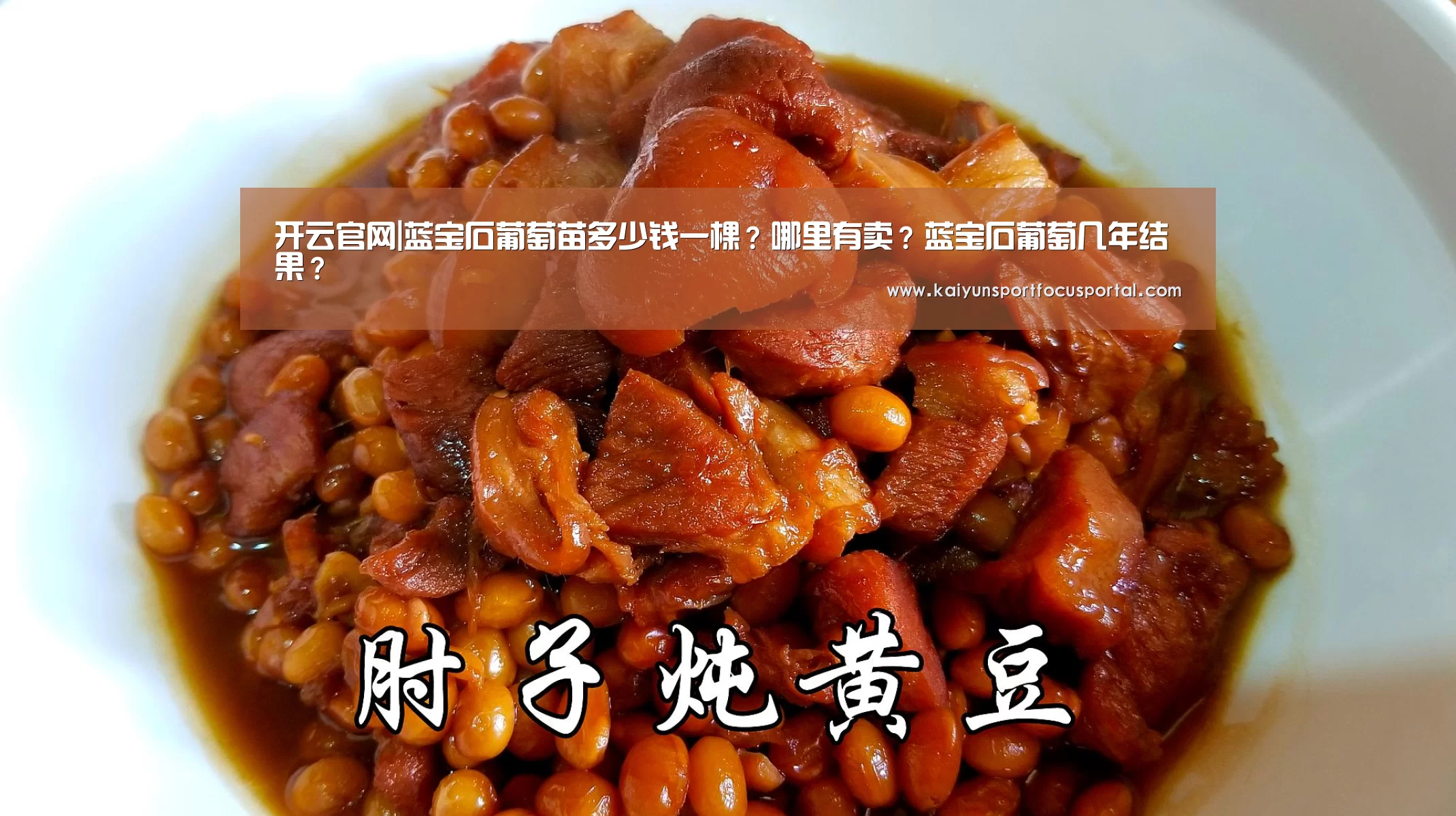 开云官网|蓝宝石葡萄苗多少钱一棵?哪里有卖?蓝宝石葡萄几年结果?(图1) 开云在线登入