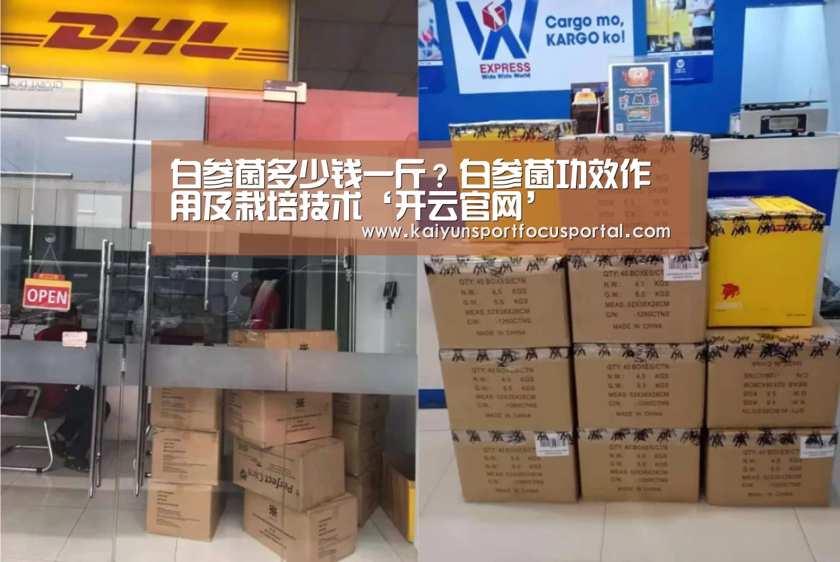 白参菌多少钱一斤?白参菌功效作用及栽培技术‘开云官网’(图2) 开云官方登录