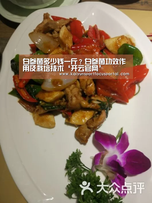 白参菌多少钱一斤?白参菌功效作用及栽培技术‘开云官网’(图3) 开云官方登录